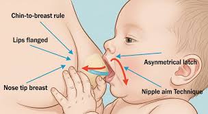 Breastfeeding First Latch Tips
