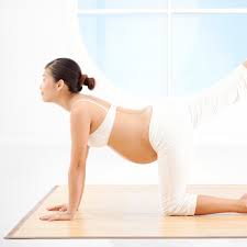 Pelvic Floor Exercises Pregnancy