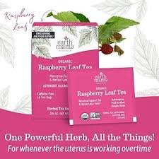 Raspberry Leaf Tea For Labour